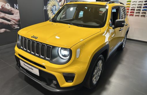 Jeep Renegade - Gazda Group